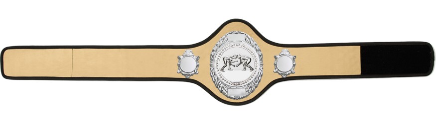 GRAPPLING CHAMPIONSHIP BELT-PRO286/S/GRAPPS-10+ COLOURS